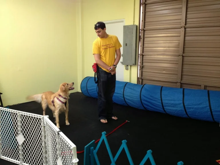 Every Dawg's Dream, a dog-friendly pet boarding facility in Irvine, California