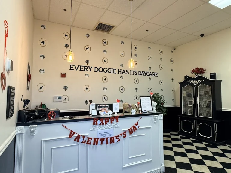 Every Dog Has Its Daycare, a dog-friendly pet boarding facility in Emeryville, California