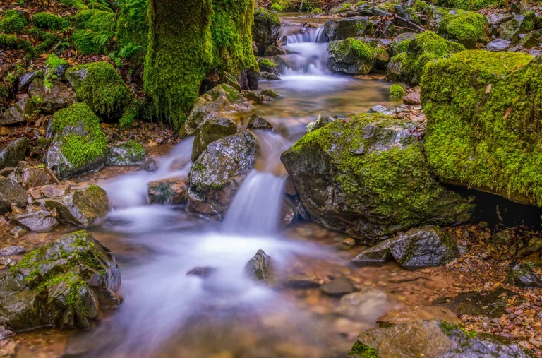 Fairway Falls Open Space