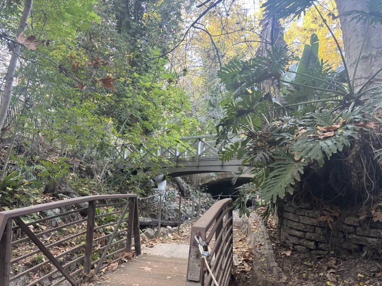 Ferndell Nature Walk