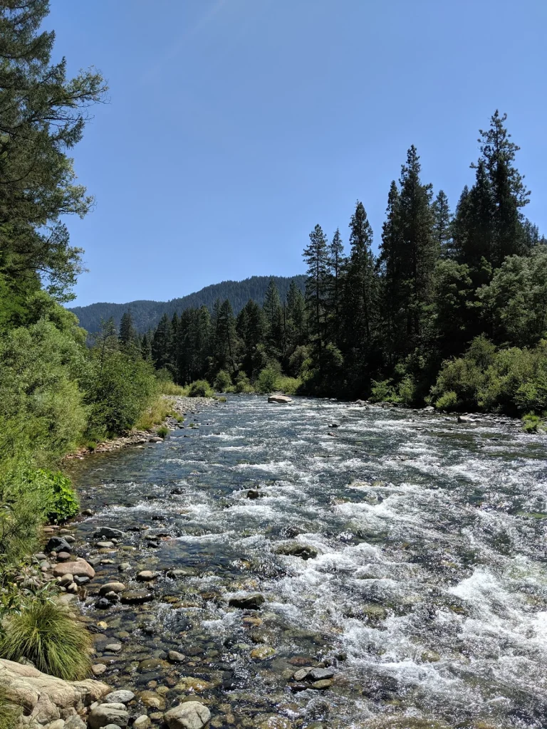 Fiddle Creek Campground, a dog-friendly campground in Camptonville, California