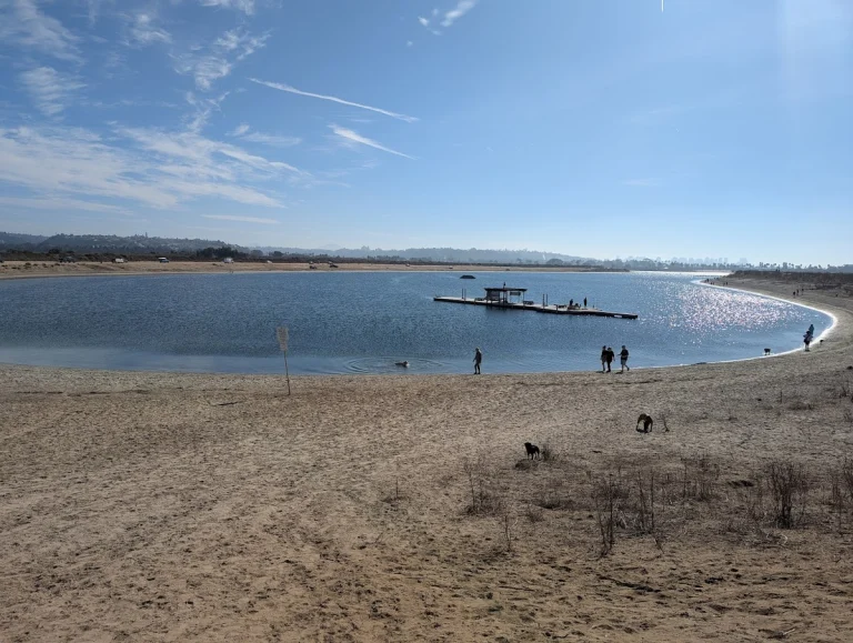 Fiesta Island Dog Owners