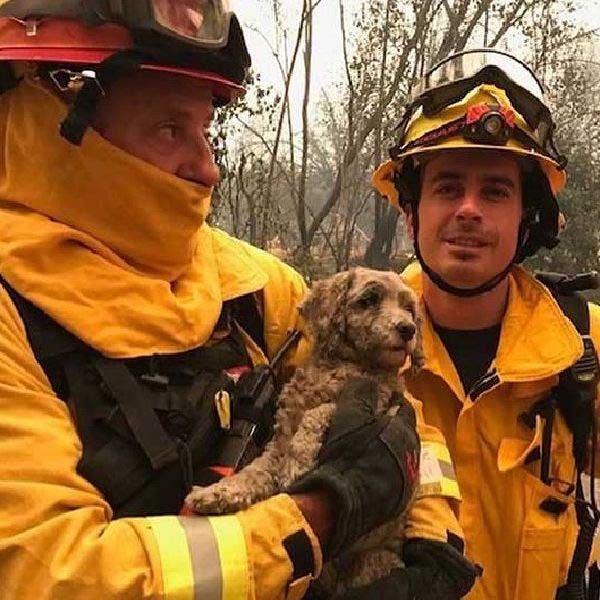 Fire rescue