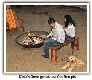 couple and a dog in front of a fire pit