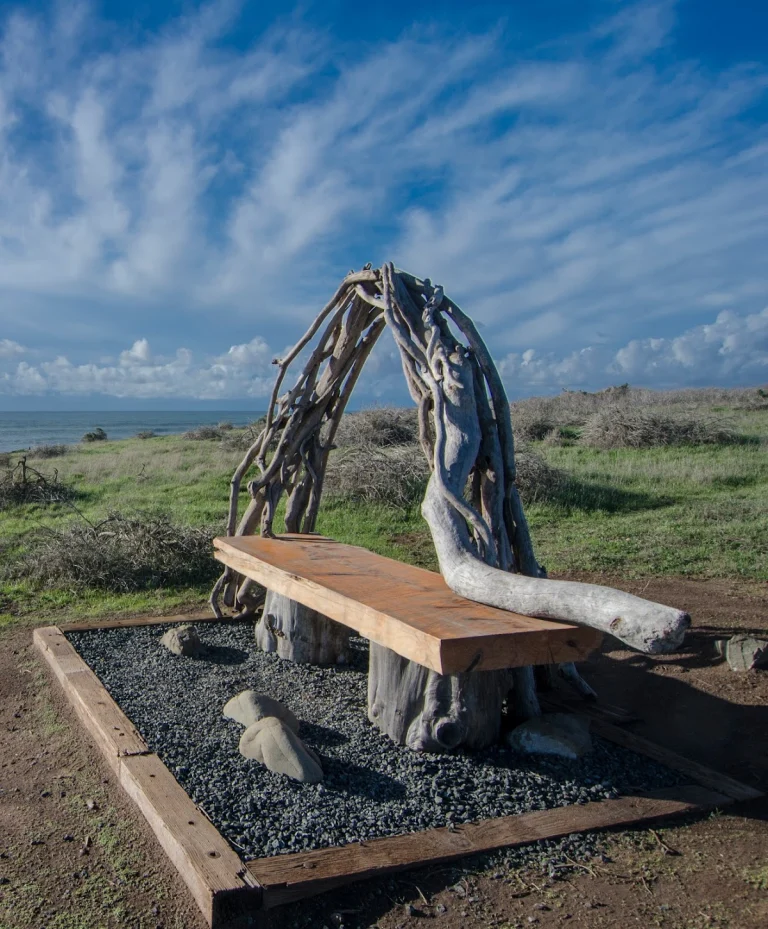 Fiscalini Ranch Preserve Bluff