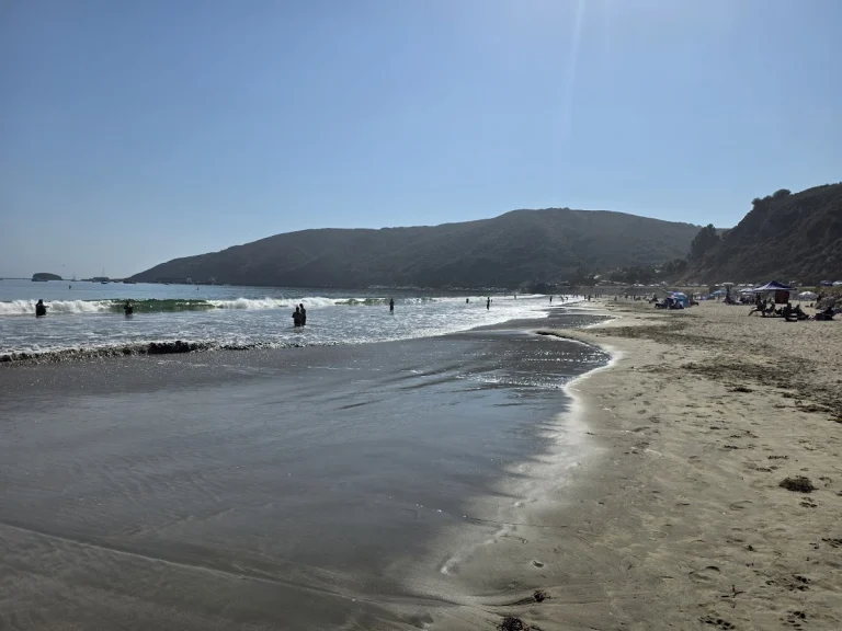 Fisherman's Beach, a dog-friendly beach in Avila Beach, California