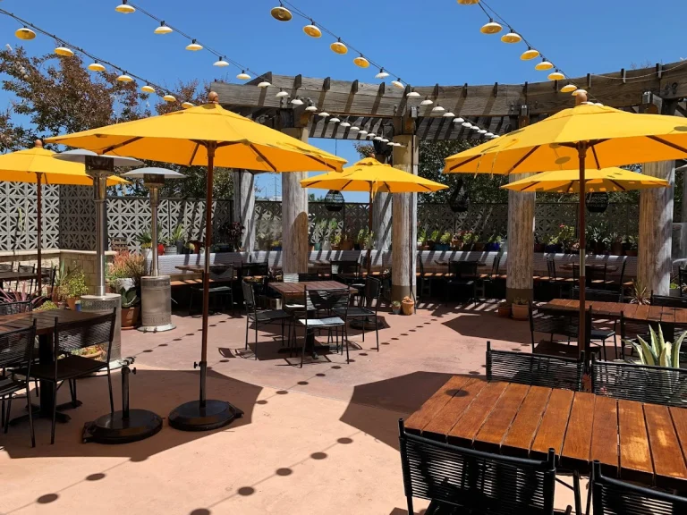 Flores, a dog-friendly restaurant in Corte Madera, California