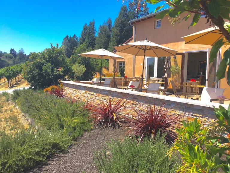 Fog Crest Vineyard, a dog-friendly winery in Sebastopol, California