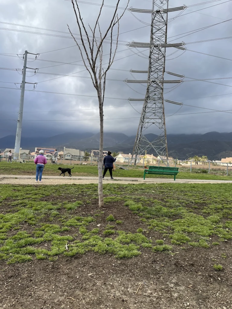 Fontana Dog Park
