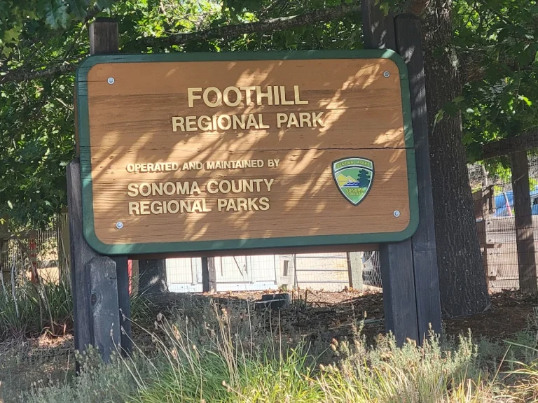 Foothill Regional Park, a dog-friendly park in Windsor, California