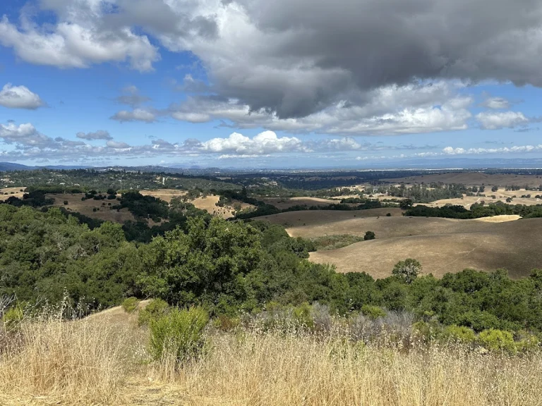 Foothills Open Space, a dog-friendly park in Los Altos, California