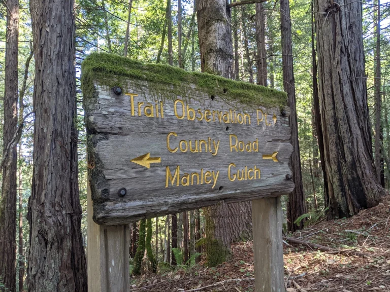Forest History Trail