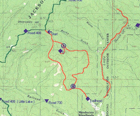 Map of Forest History Trail
