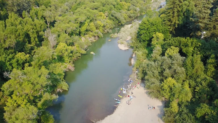 Forestville River Access, a dog-friendly beach in Forestville, California