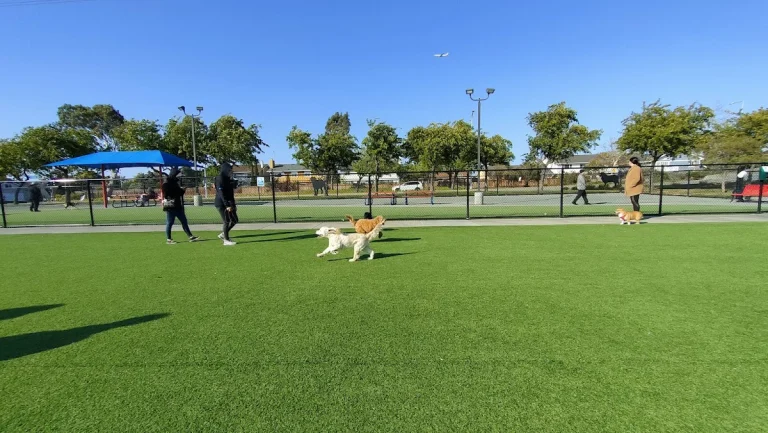 Foster City Dog Park