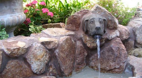 Fountain of Woof