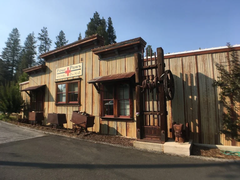 Four Paws Animal Clinic