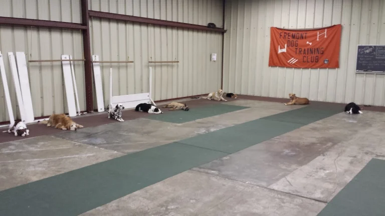 Fremont Dog Training Club, Fremont