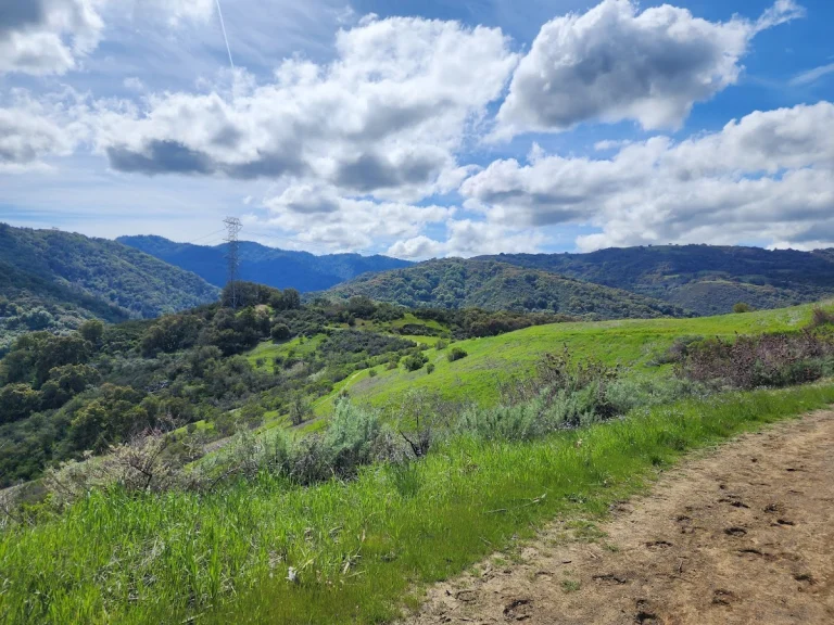 Fremont Older Open Space, a dog-friendly park in Saratoga, California