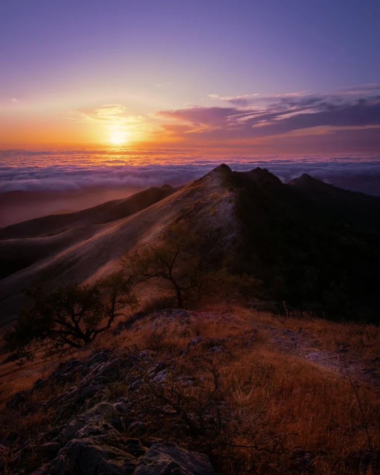 Fremont Peak State Park, a dog-friendly park in San Juan Bautista, California