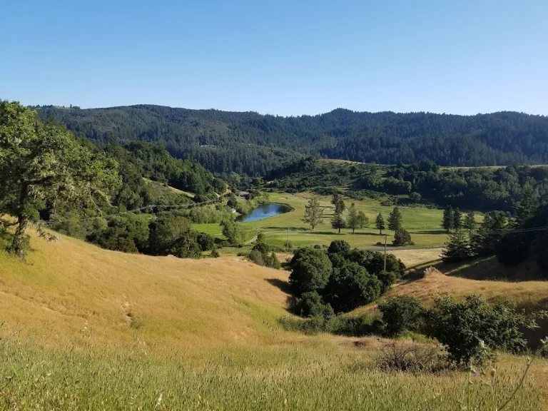French Ranch Open Space, a dog-friendly park in San Geronimo, California