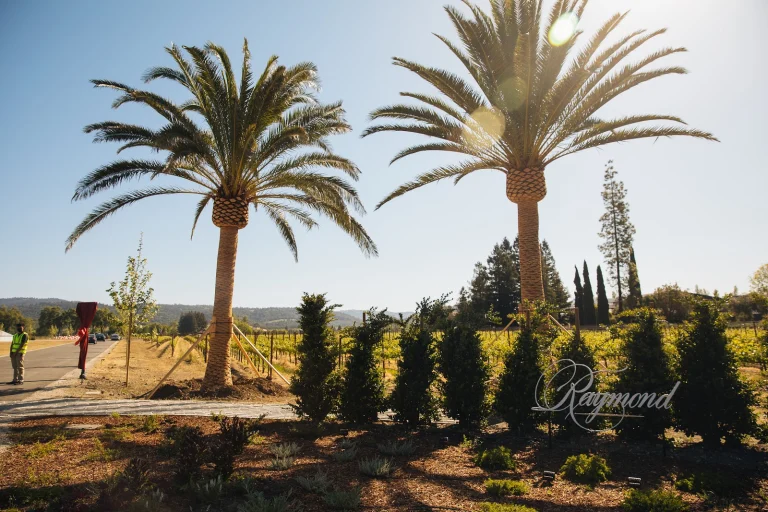 Frenchie Winery