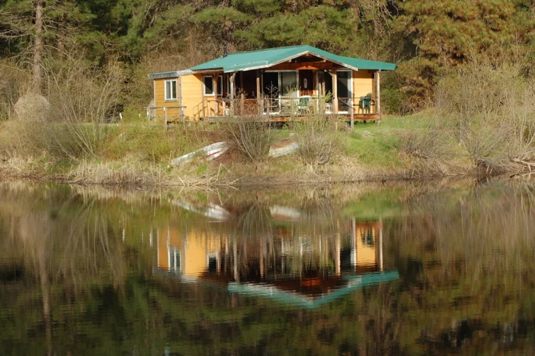 Fridays RV Retreat, a dog-friendly attraction in McCloud, California