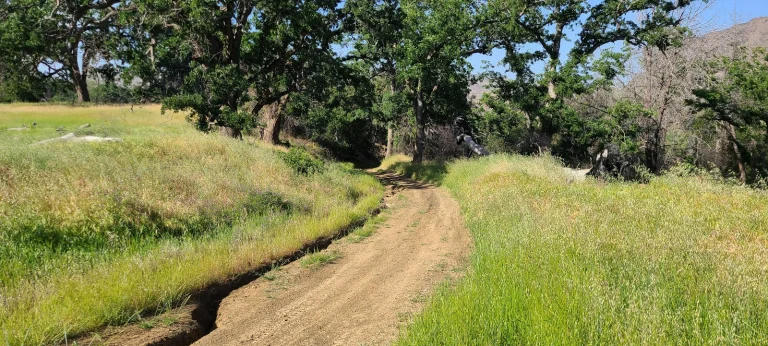 Frog Pond Trail