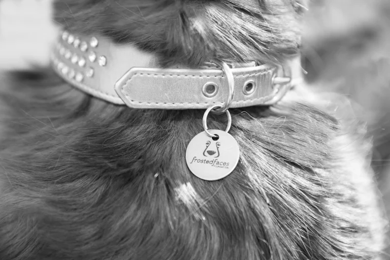 Frosted Faces Foundation, a dog-friendly animal rescue in Ramona, California