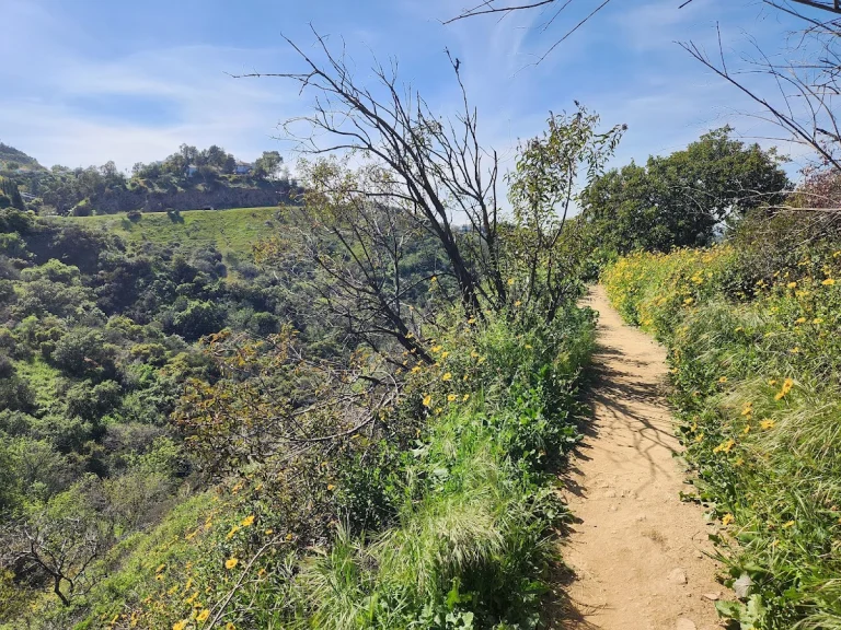 Fryman Canyon Park