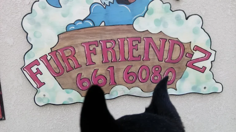 Fur Friend Z Google Places photo