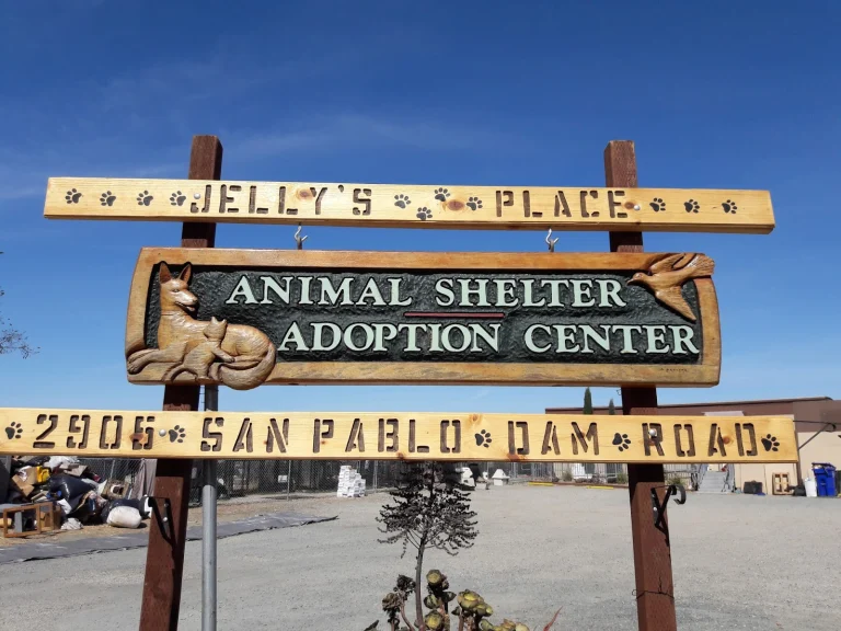 FurEver Animal Rescue