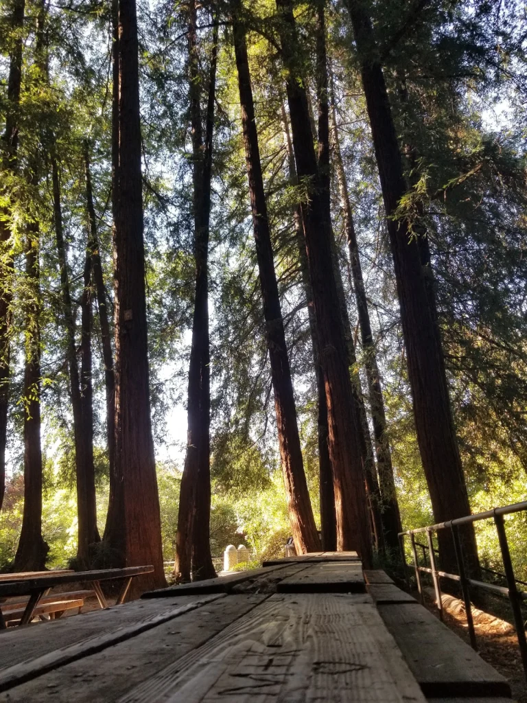 Gerstle Park