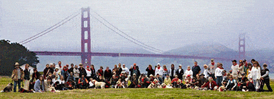 Golden Gate Labrador Rescue Crew