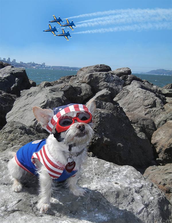 Ginger and the Blue Angels
