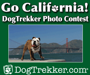 California Photo Contest Ad