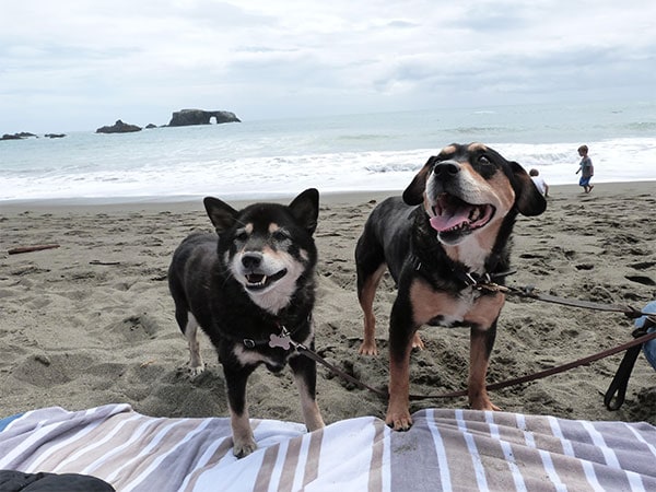Mei Mei and Mimi at the beach