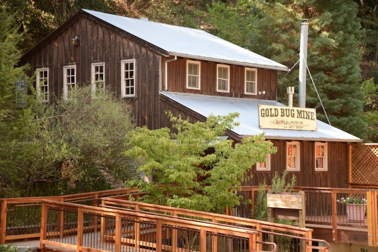 Gold Bug Mine & Park