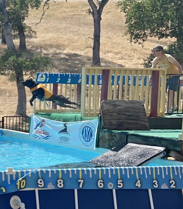 Gold Country Pet Resort, Ione
