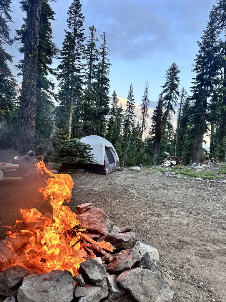 Gray Butte Trail, a dog-friendly hiking trail in Mount Shasta, California