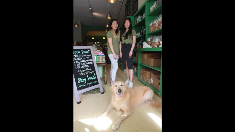 Green Pawz Grooming