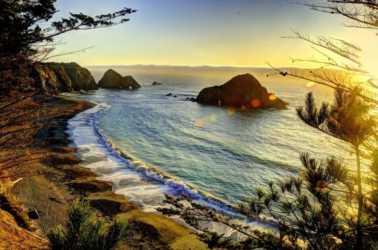 Greenwood Creek State Beach, a dog-friendly beach in Elk, California