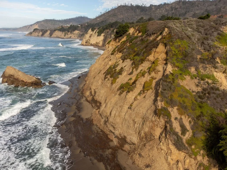 Greyhound Rock Beach, a dog-friendly beach in Davenport, California