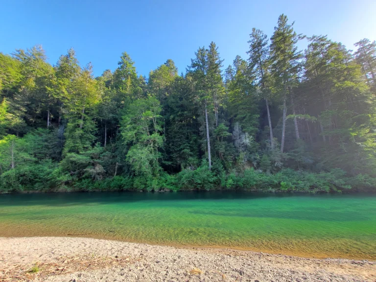 Gualala River Redwood Park Google Places photo