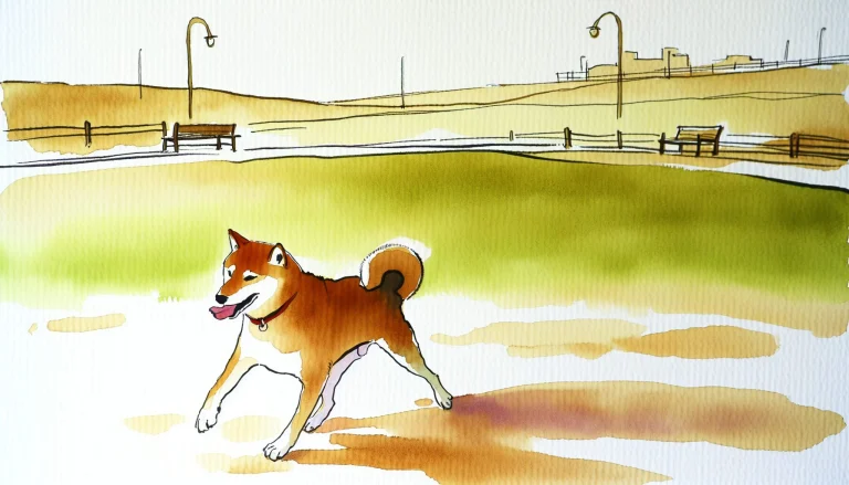Gum Grove Nature Park, a dog-friendly park in Seal Beach, California