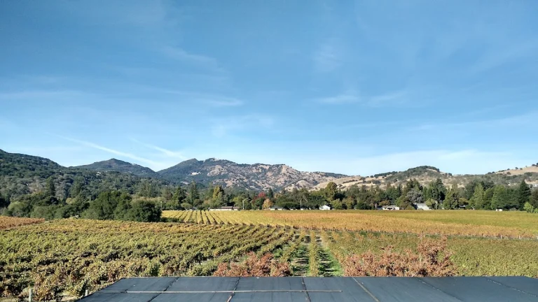 GV Cellars