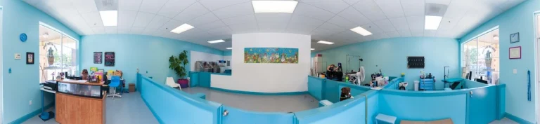 Hair of the Dog Pet Grooming, a dog-friendly dog grooming salon in Santa Rosa, California
