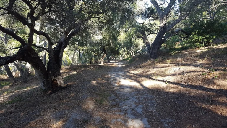 Hale Park, Santa Barbara
