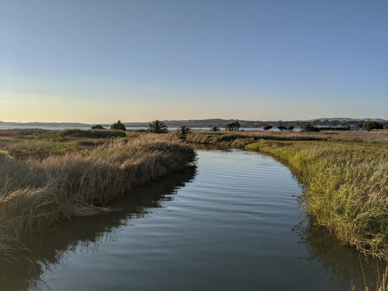Hampton Trail