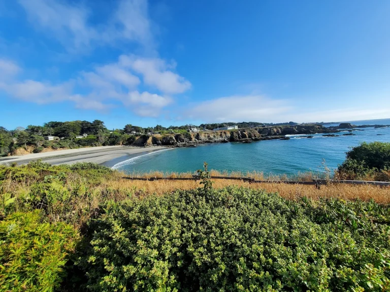 Hare Creek Beach Trail, a dog-friendly hiking trail in Fort Bragg, California